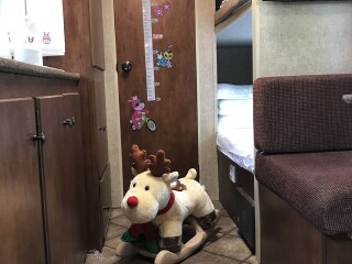 崇明东平森林公园