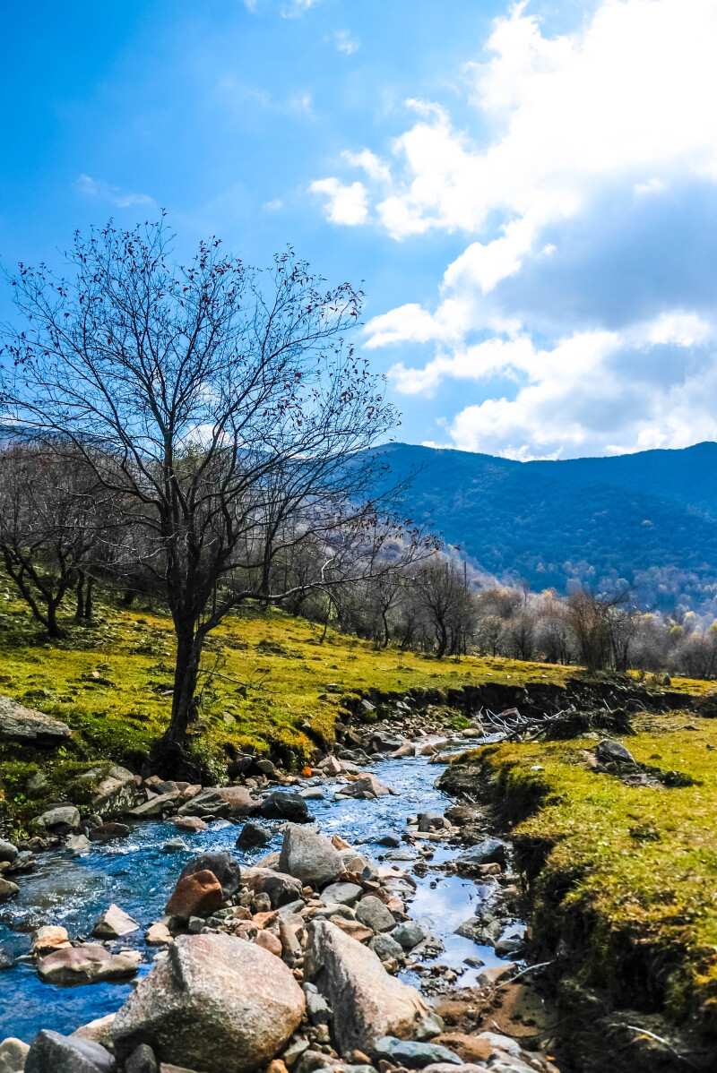 有一种静谧美好,叫张家川!