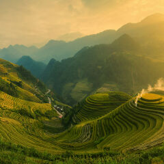 Terraced Terraced field