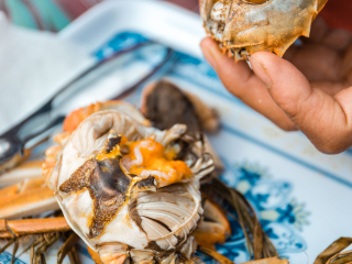 溱湖国家湿地公园