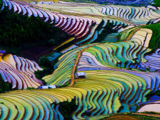 云和梯田