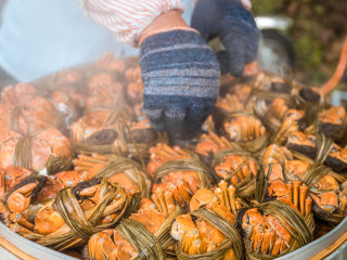 溱湖国家湿地公园