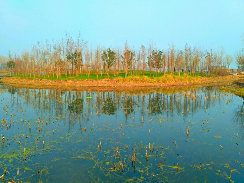 冬遊北龍湖溼地公園