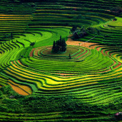 Colorful Vietnam