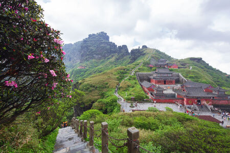 <贵州黄果树+荔波+西江+梵净山+镇远+青岩双动7日游>广州往返24h接送站，30人小团/夜宿景区，观苗寨夜景，升级2个特色餐/含青龙洞门票