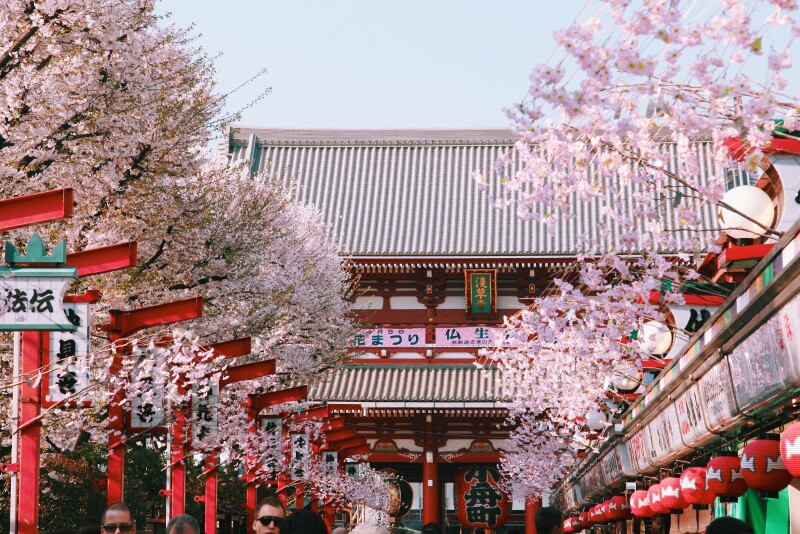 【日本东京】经典赏樱地推荐(含私家攻略)