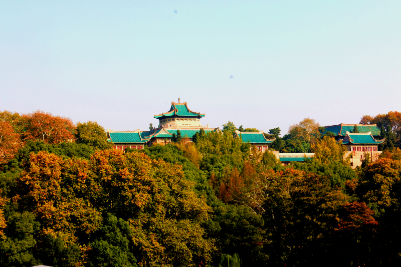 У人ѧŨ