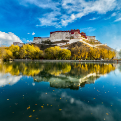 The Potala Palace      