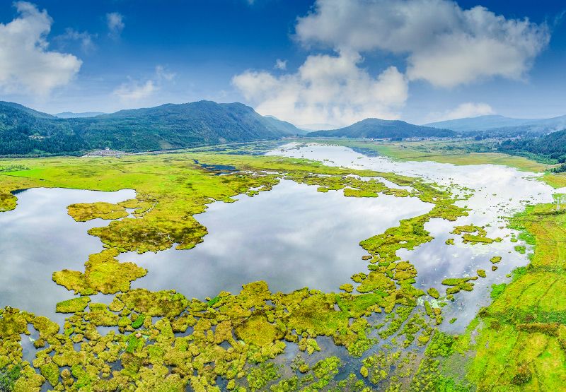 上帝之眼瞰云南腾冲北海湿地绿水青山领略不一样的湿地风光
