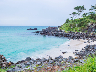 [五一]<4周岁以下免服务费丨国潮之选 爱达魔都号丨上海-济州-福冈-佐世保-上海5晚6天>中国制造，国产13点5万吨邮轮，2024全新首航，日韩联游免签出行