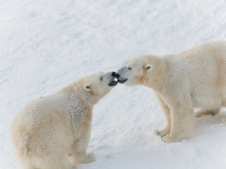 拉努阿野生动物园