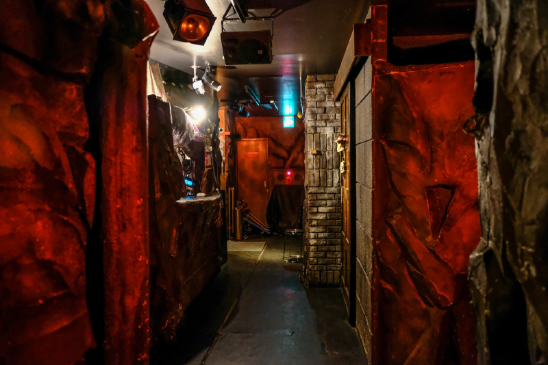 【首发】【燕楠酱】吃货在东京,玩转迪士尼!12天日本自由行下