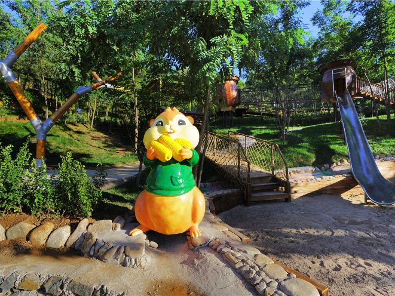 欢乐松鼠谷-纵情于松鼠森林