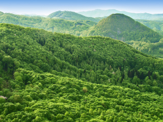 上方山森林公园
