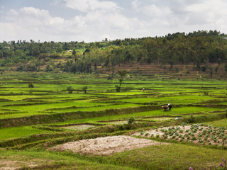 卢旺达豪华酒店