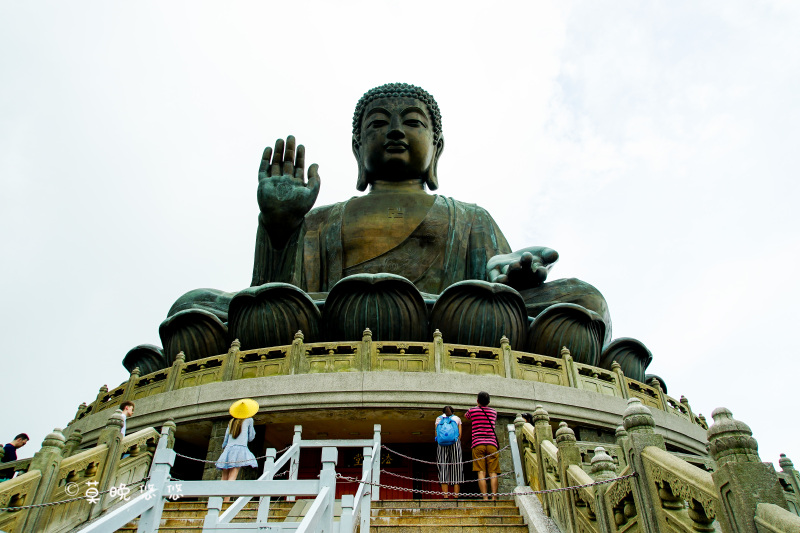 大佛面对着的就是宝莲禅寺了,站在高处观望