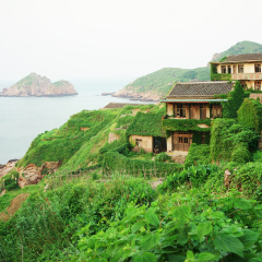             The decline of fishery resources, zhejiang shengsi shengshan Island fishermen have relocated, becoming no village, abandoned houses covered with green plants
