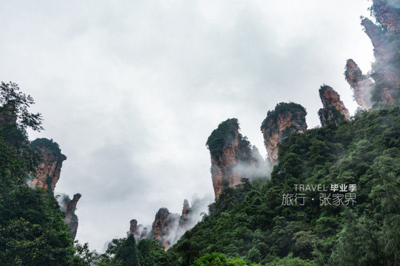 畢業季:張家界國家森林公園,天門山畢業旅行(美圖,攻略)_張家界遊記