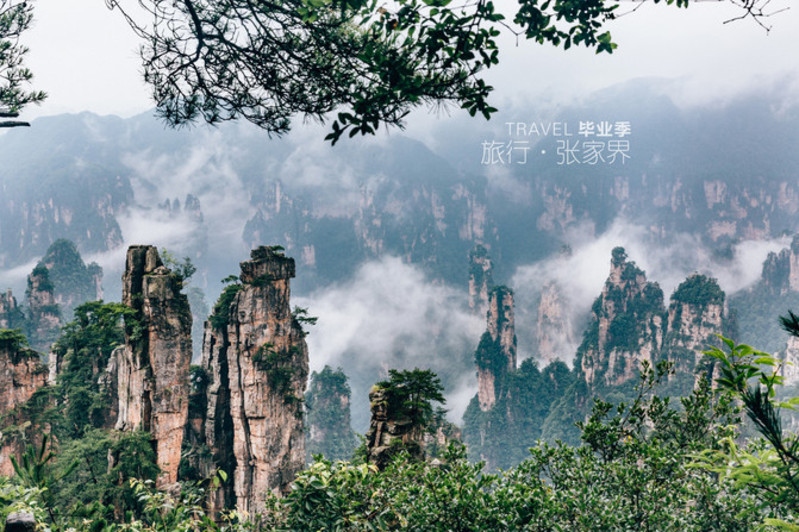 畢業季:張家界國家森林公園,天門山畢業旅行(美圖,攻略)