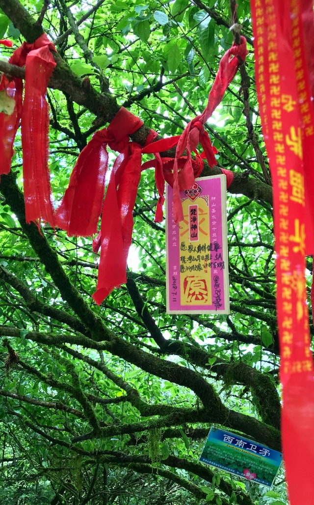 把心愿挂在金顶山脚的许愿树上 在梵天净土天空之城许下的愿望