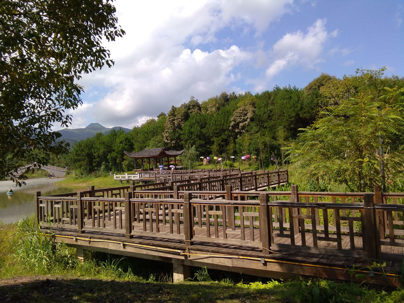 逛逛如意湖湿地公园