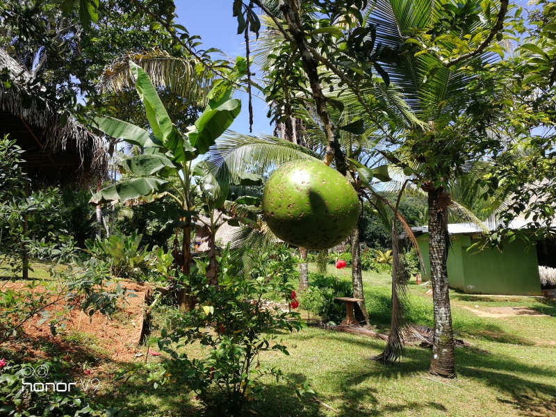 墨西哥古巴巴拿马哥斯达黎加四国游之十五巴拿马3篇