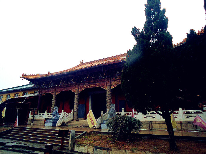 从东林寺出来,雨下得到了,一位女居士开车去九江,主动停车让我搭车