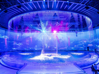 上海海昌海洋公园