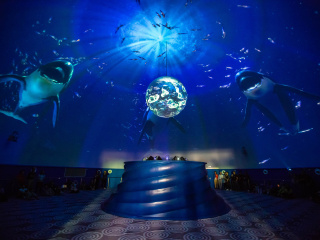 上海海昌海洋公园