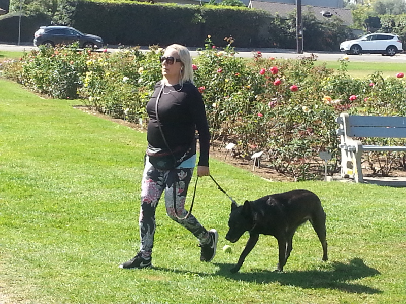 在圣塔芭芭拉的别墅区遛狗的人