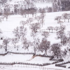 中国北方冬季山村雪景