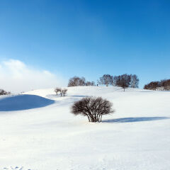 坝上冬天雪景