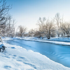 冬季穿越森林的小溪