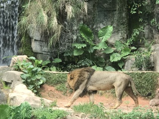 回答图片