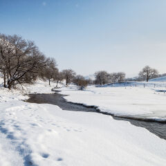 内蒙古自然风光,乌兰布统