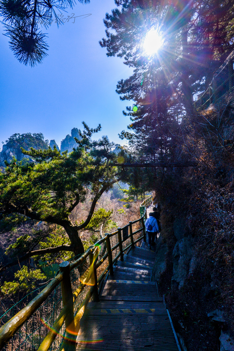  老界嶺風景區