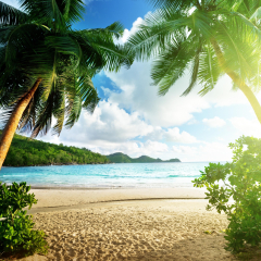Beautiful beach for holiday