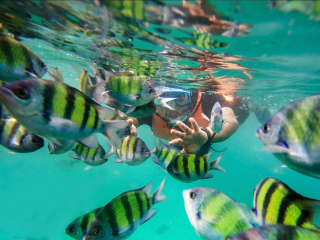 兰卡威水底世界