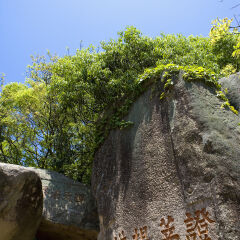 中国,浙江,普陀山,西天景区,证菩提道,