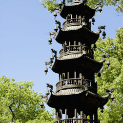 中国,浙江,普陀山,法雨禅寺,