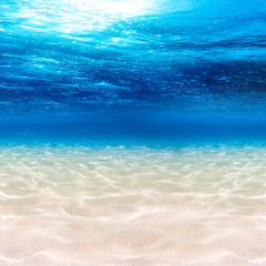 underwater blue ocean wide panorama background with sandy sea bottom