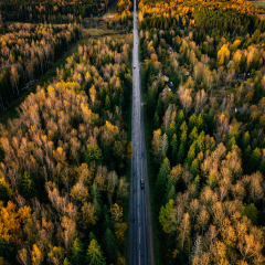 Aerial view of road in autumn forest. Fall landscape with road, red, yellow and green trees.