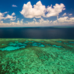 Aerial view of Moore Reef on the outer Great Barrier Reef