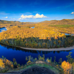 呼伦贝尔莫尔道嘎国家森林公园白鹿岛秋天风光