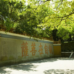 中国,浙江,普陀山,普济寺景区,观自在菩萨,