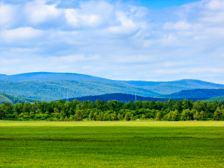 呼伦贝尔大草原