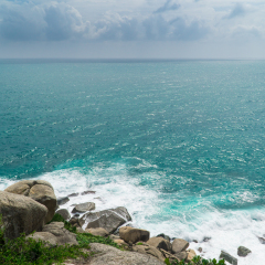 海