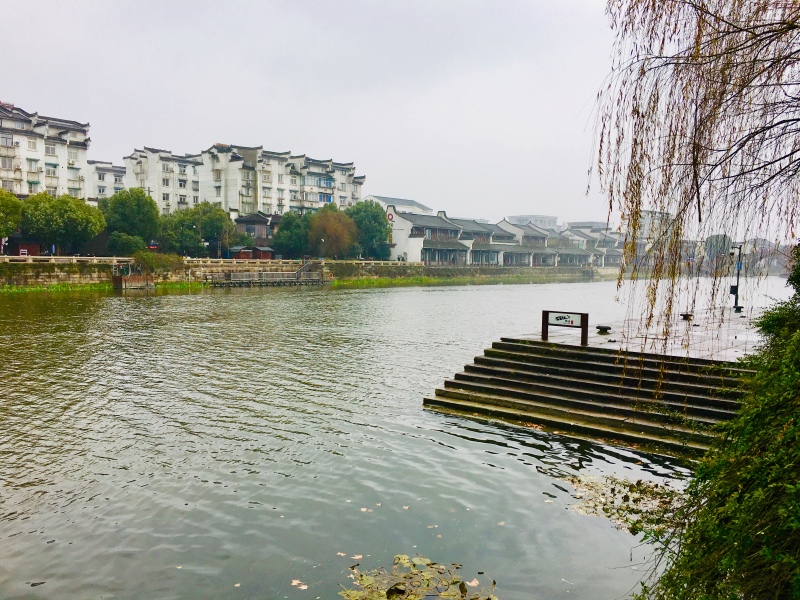 在哪儿过年# 春节重游江南名镇——塘栖,观赏超山唐梅,宋梅