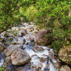 Mossman Gorge, Daintree National Park, Tropical Far North Queensland, Australia