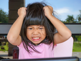 亚龙湾热带天堂森林公园